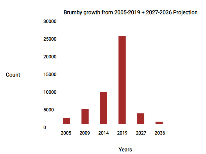 a graph showing brumby numbers