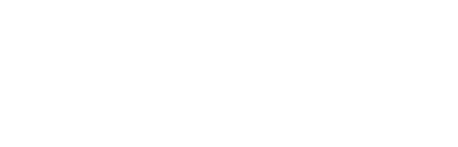 Australian National University Logo